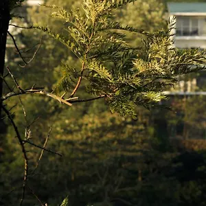 Курортный комплекс Falcon Crest, Вагамон